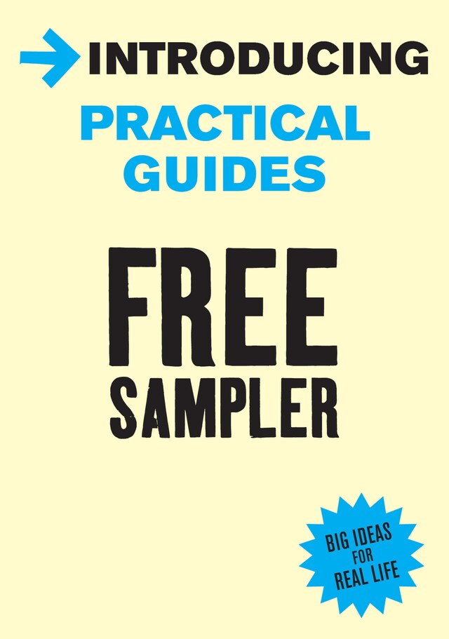 Boekomslag van Introducing Practical Guides