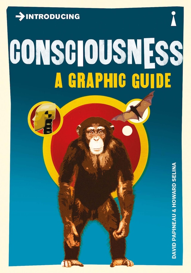 Book cover for Introducing Consciousness