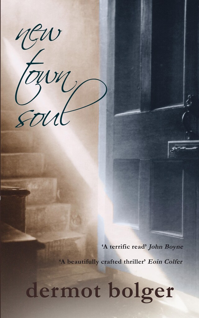 Book cover for New Town Soul