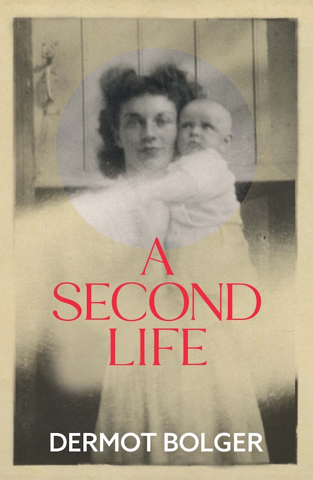 Couverture de livre pour A Second Life