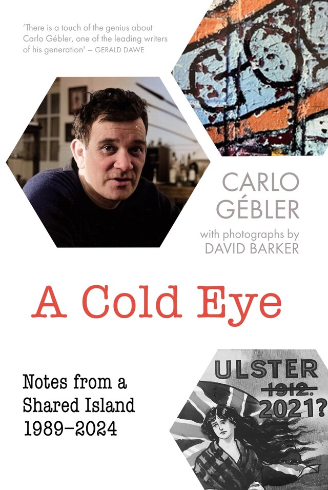 Book cover for A Cold Eye