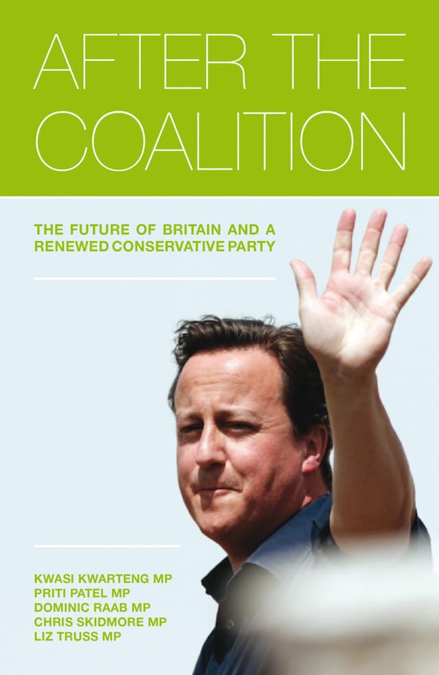 Book cover for After the Coalition