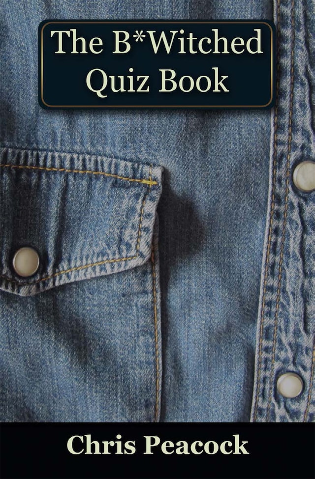 Okładka książki dla The B*Witched Quiz Book