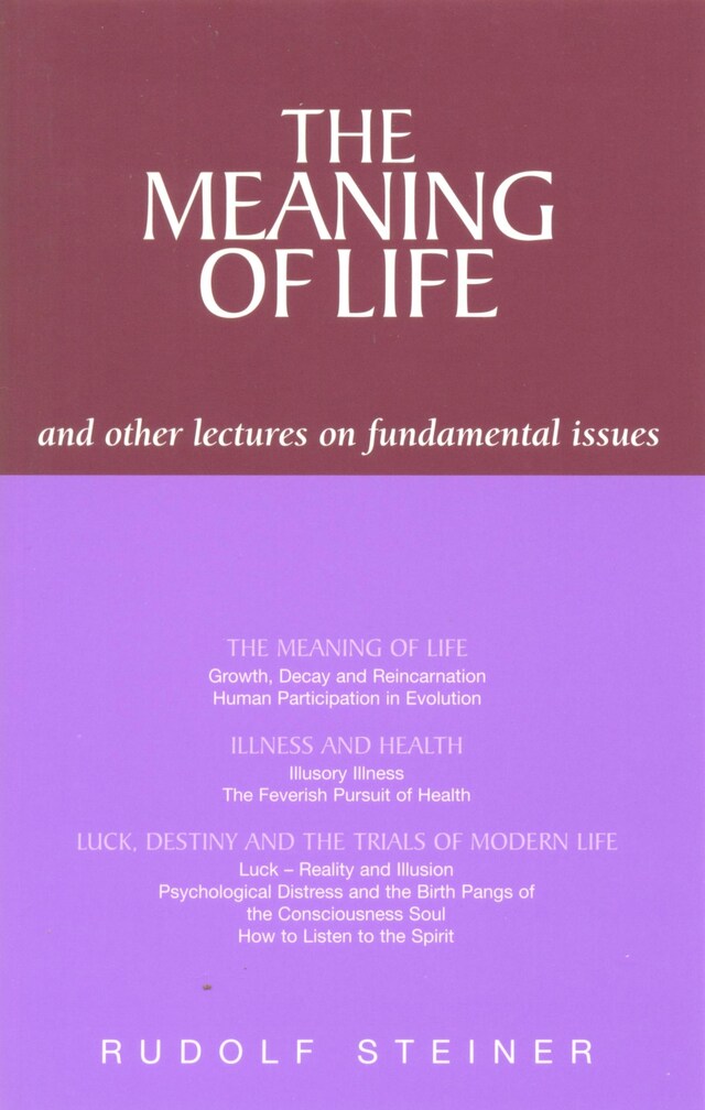 Book cover for The Meaning of Life and Other Lectures on Fundamental Issues