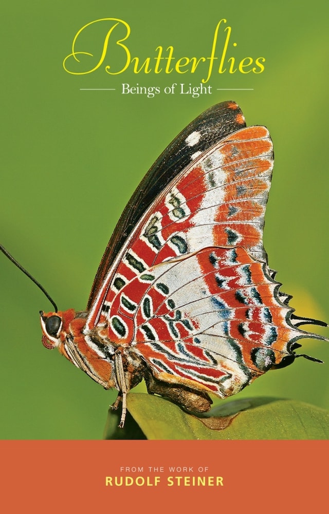 Book cover for Butterflies