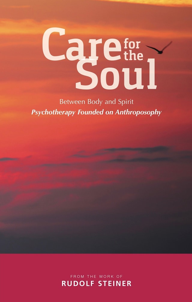 Book cover for Care for the Soul