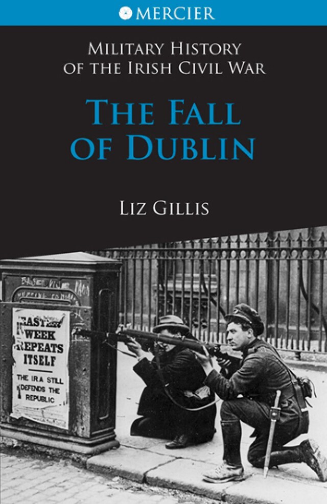 Boekomslag van The Fall of Dublin