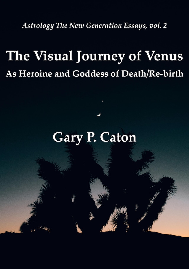 Portada de libro para The Visual Journey of Venus