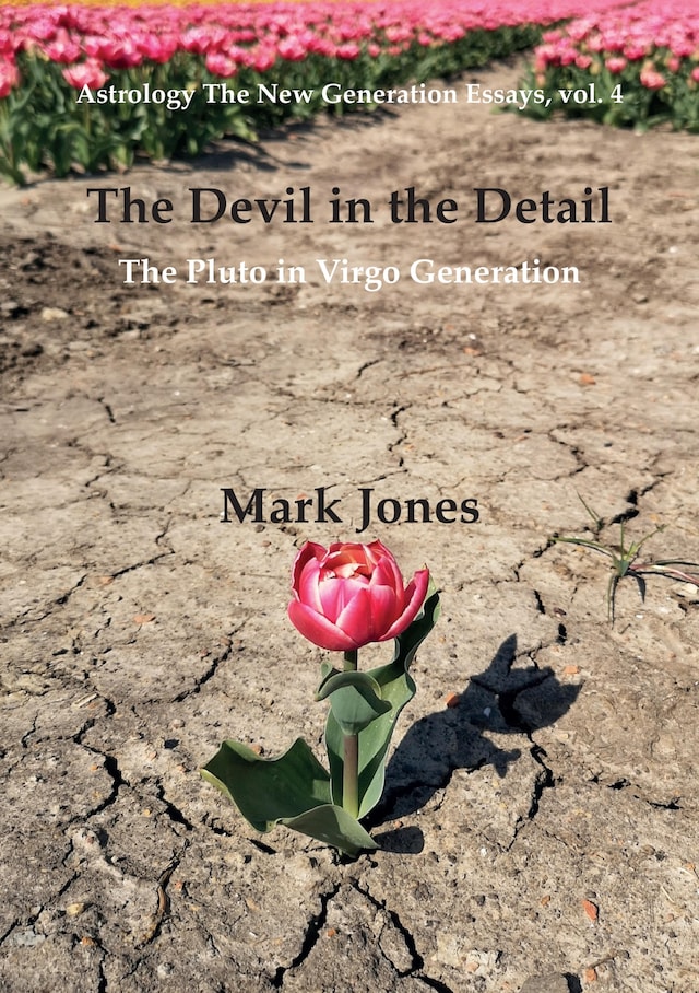 Book cover for The Devil in the Detail