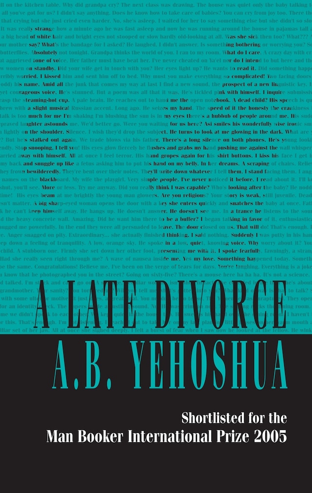 Book cover for A Late Divorce