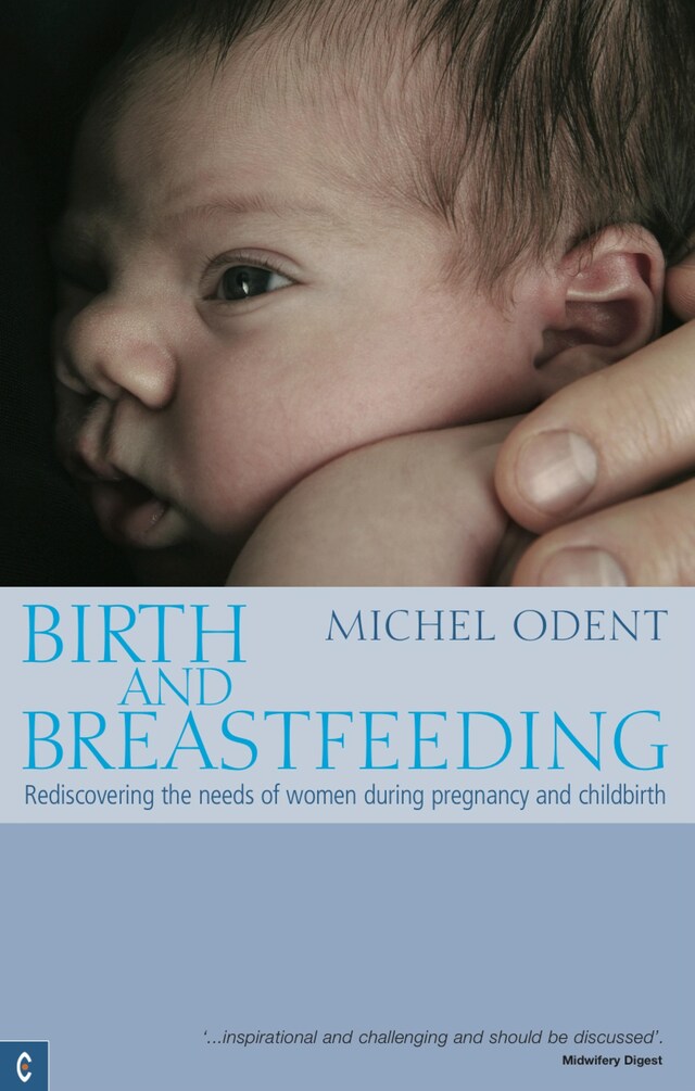 Buchcover für Birth and Breastfeeding