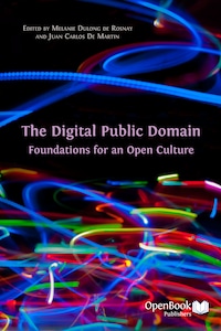 The Digital Public Domain