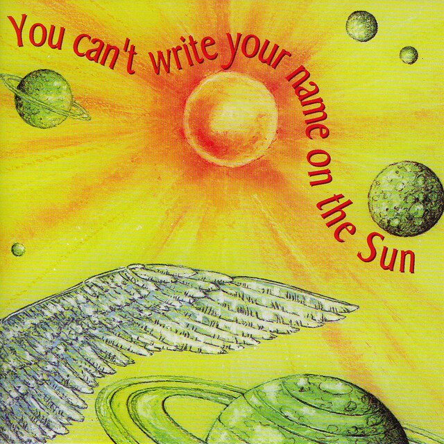 Book cover for You Can't Write Your Name On The Sun