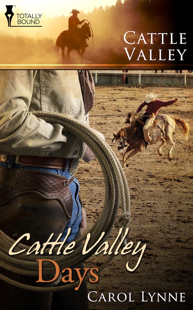 Portada de libro para Cattle Valley Days