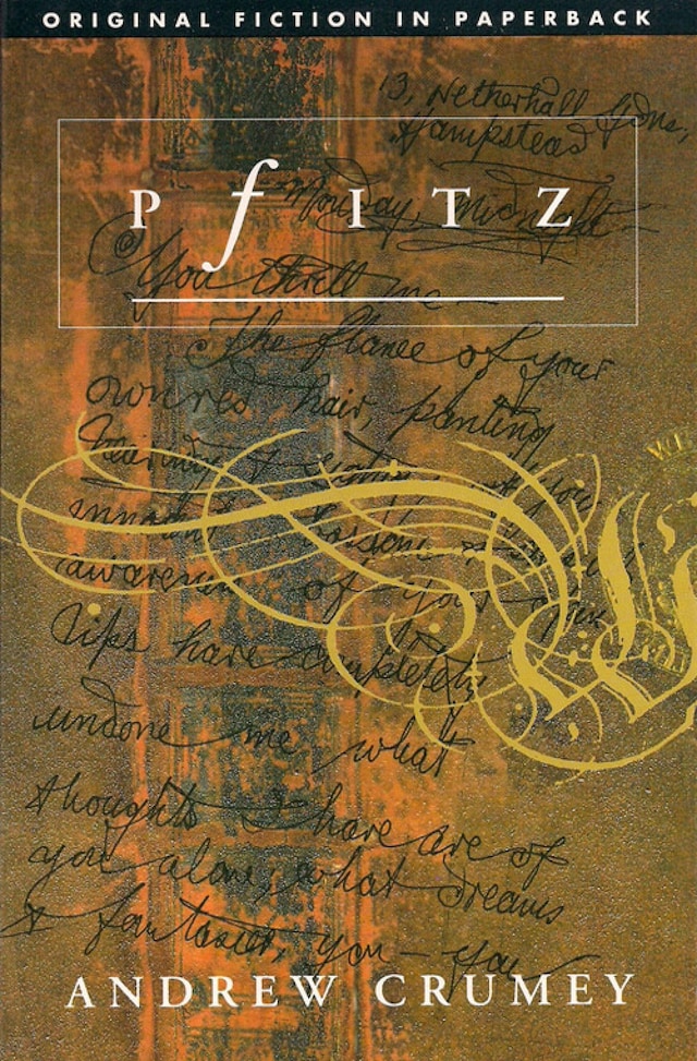 Portada de libro para Pfitz