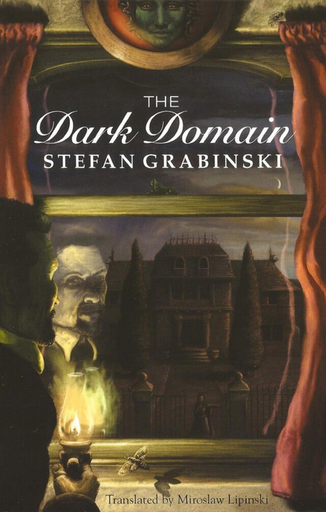 Book cover for The Dark Domain