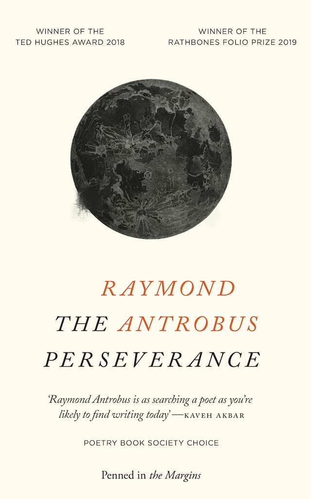 Portada de libro para The Perseverance