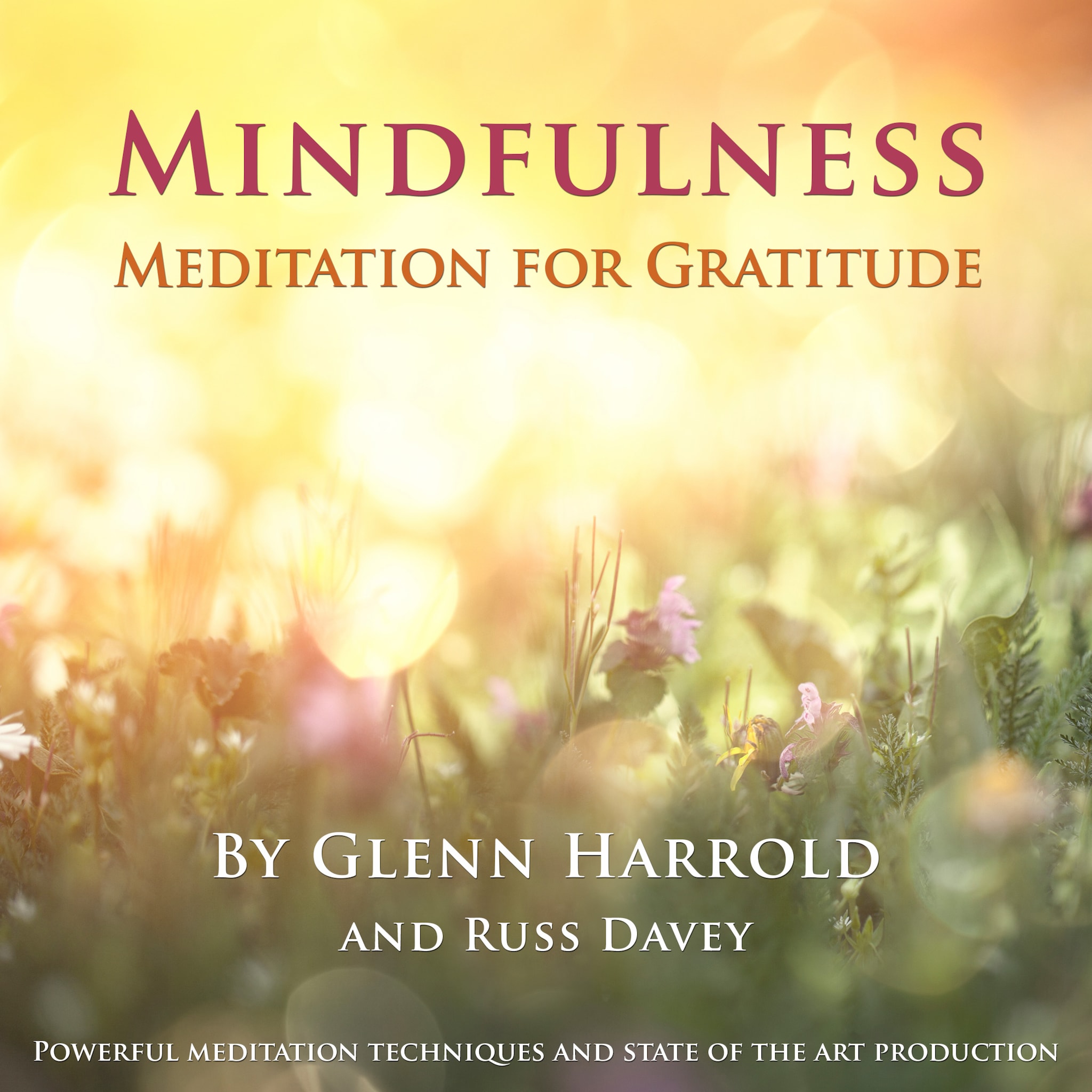 Mindfulness Meditation for Gratitude ilmaiseksi