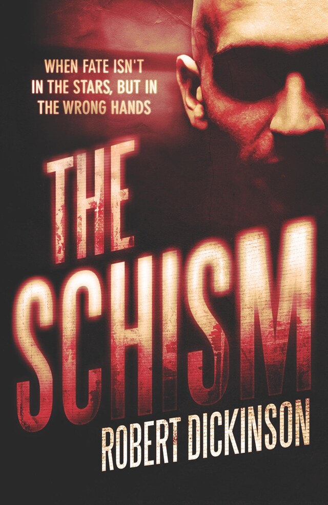 Boekomslag van The Schism