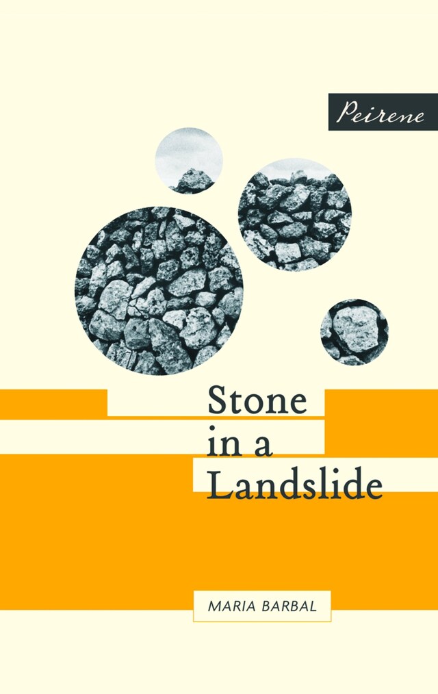 Couverture de livre pour Stone in a Landslide