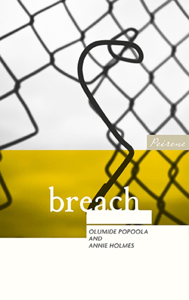 Book cover for Breach