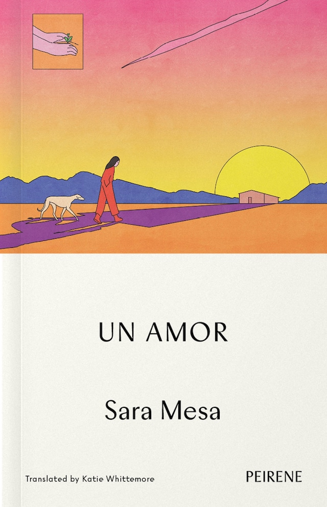 Buchcover für Un Amor