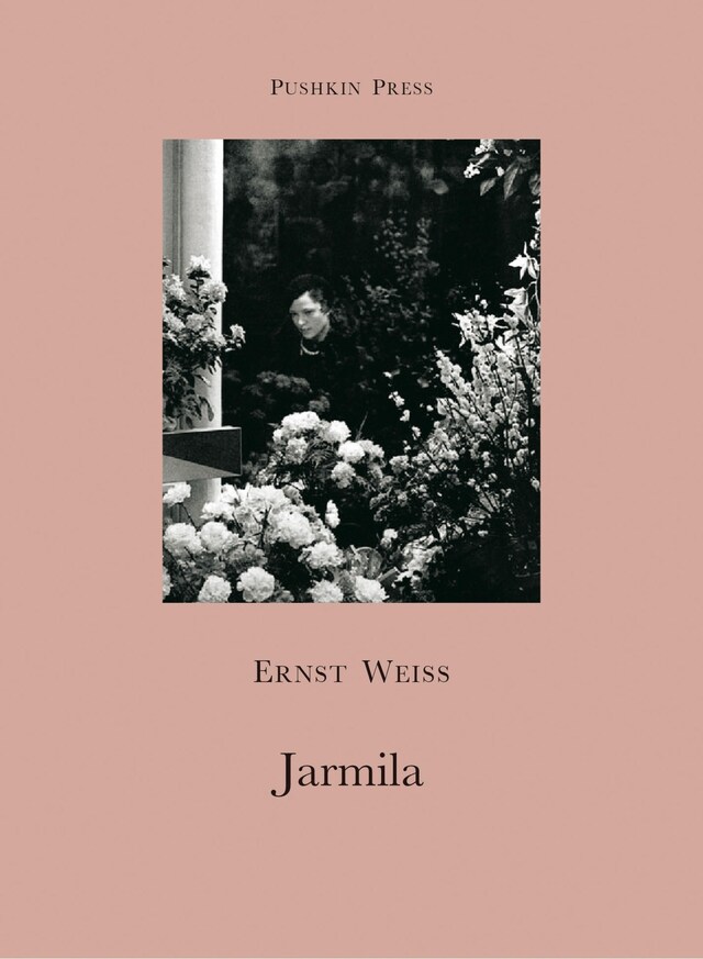 Buchcover für Jarmila