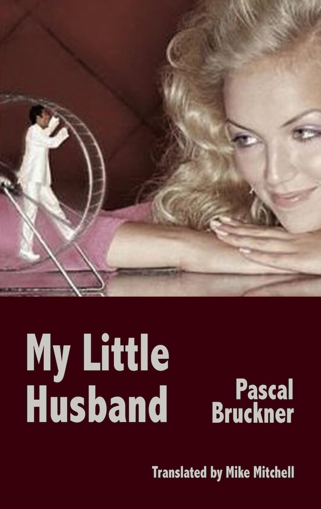 Book cover for My Little Husband