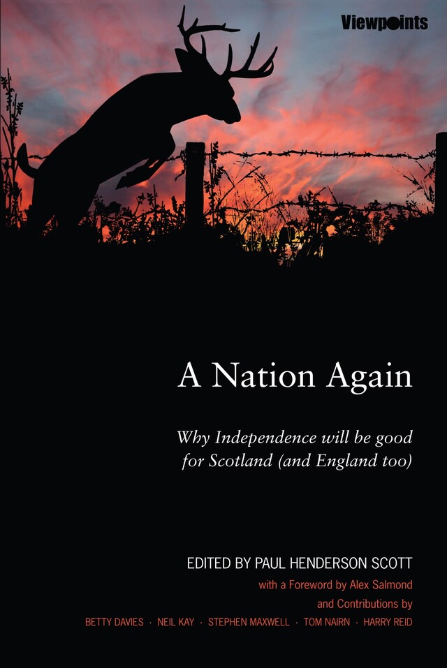 Book cover for A Nation Again