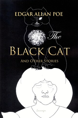 The Black Cat and Other Stories bookCoverFor