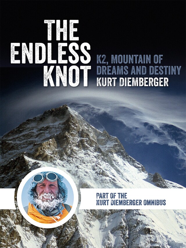 Buchcover für The Endless Knot