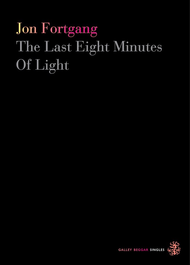 Book cover for The Last Eight Minutes Of Light