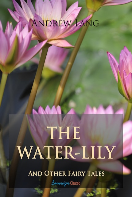 The Water-Lily and Other Fairy Tales bookCoverFor