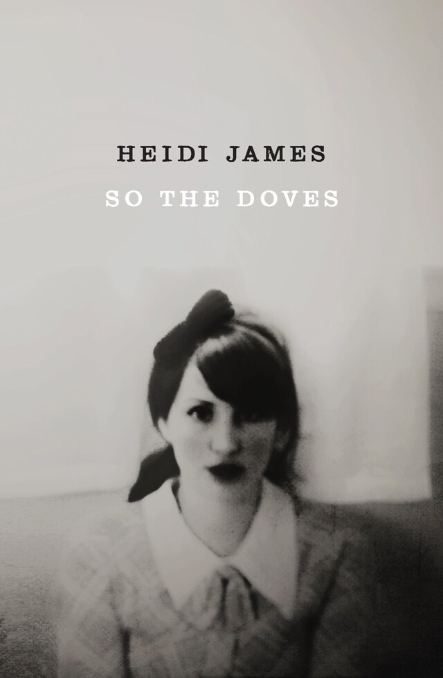 Portada de libro para SO THE DOVES