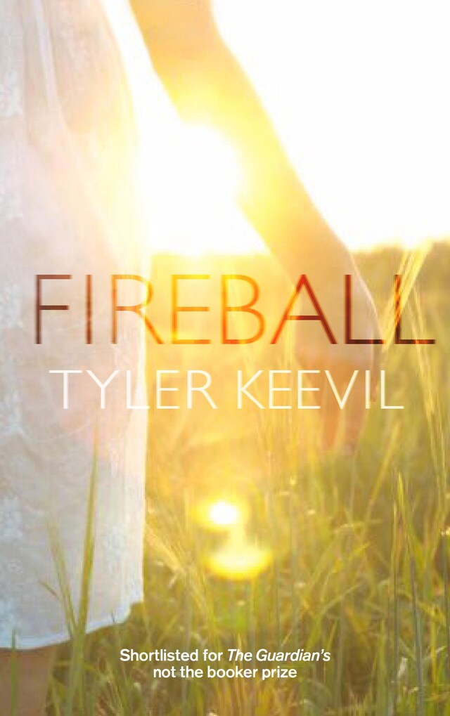 Book cover for Fireball