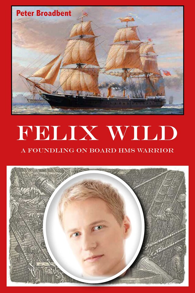 Buchcover für Felix Wild