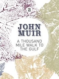 A Thousand-Mile Walk to the Gulf
