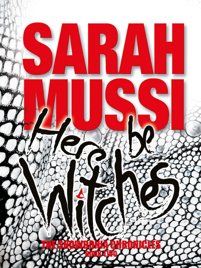Book cover for Here Be Witches