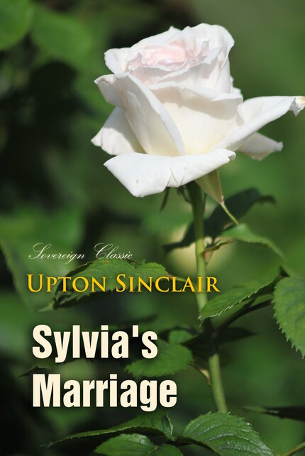 Sylvia's Marriage: A Novel bookCoverFor