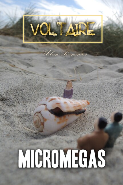 Micromegas bookCoverFor