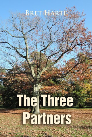 The Three Partners bookCoverFor