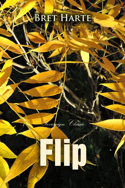 bookCoverFor