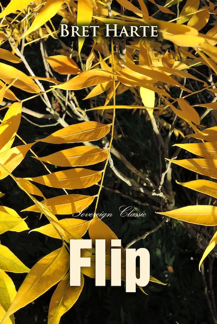 Flip: A California Romance bookCoverFor