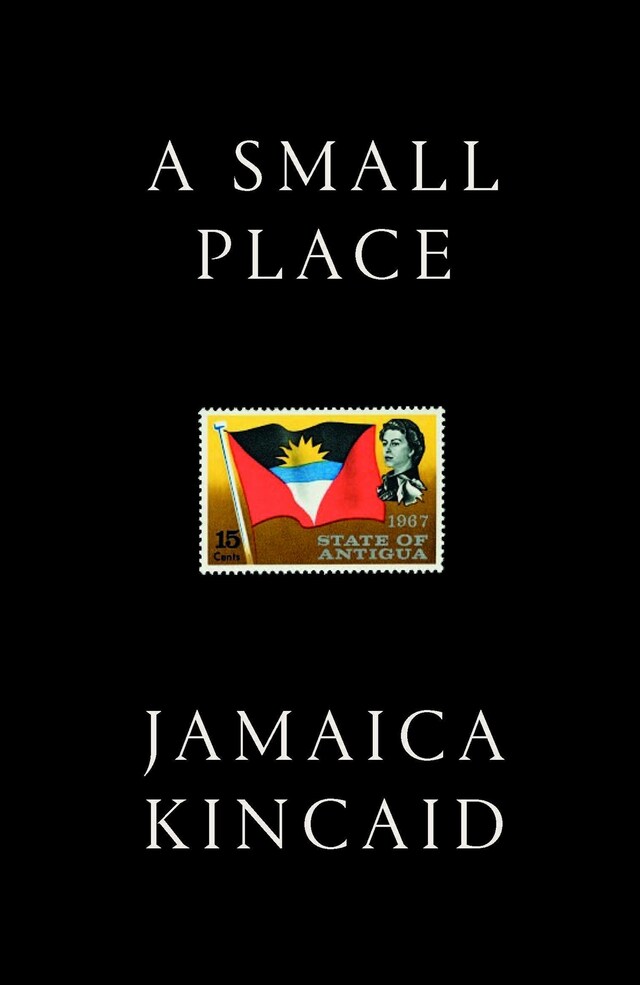 Book cover for A Small Place