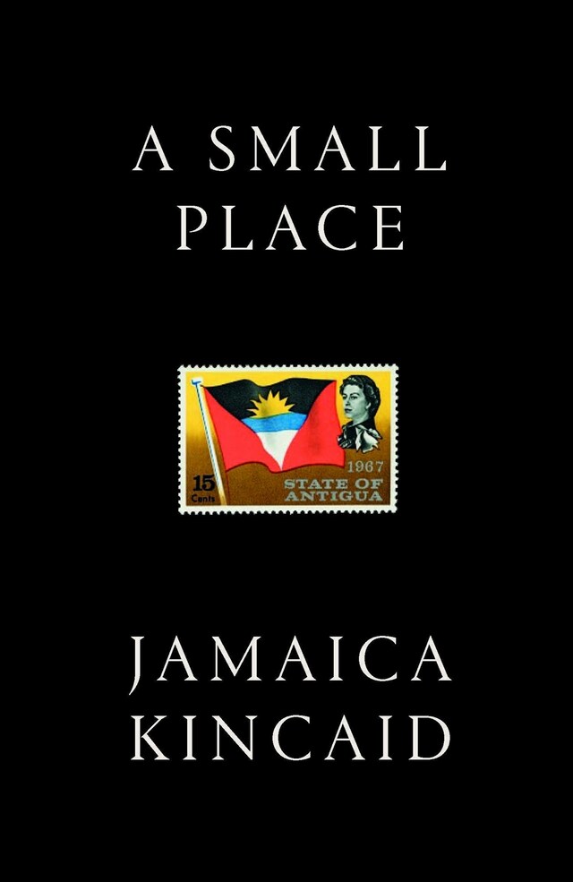 Copertina del libro per A Small Place