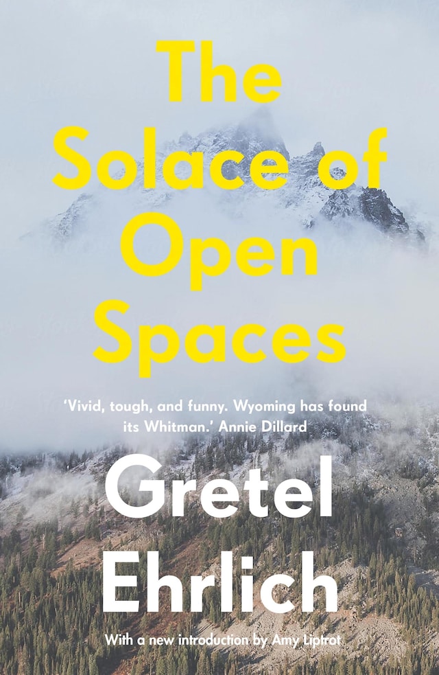 Book cover for The Solace of Open Spaces