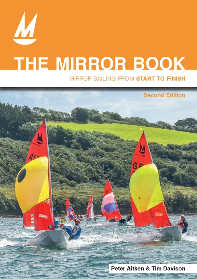 Book cover for The Mirror Book