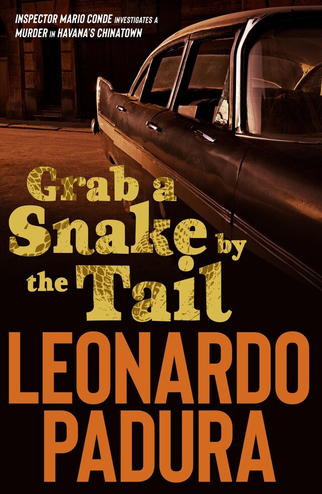 Book cover for Grab a Snake by the Tail