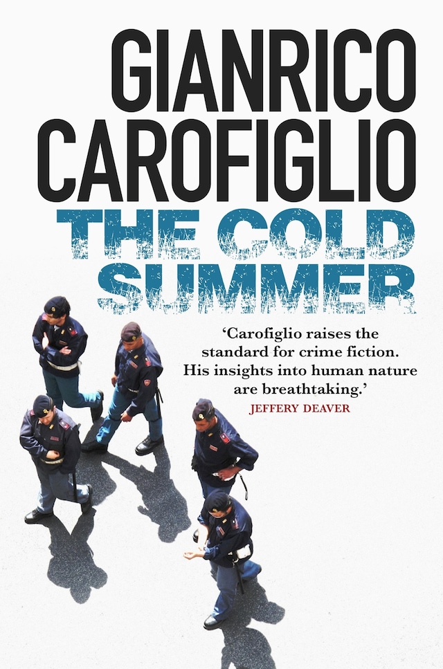 Book cover for The Cold Summer