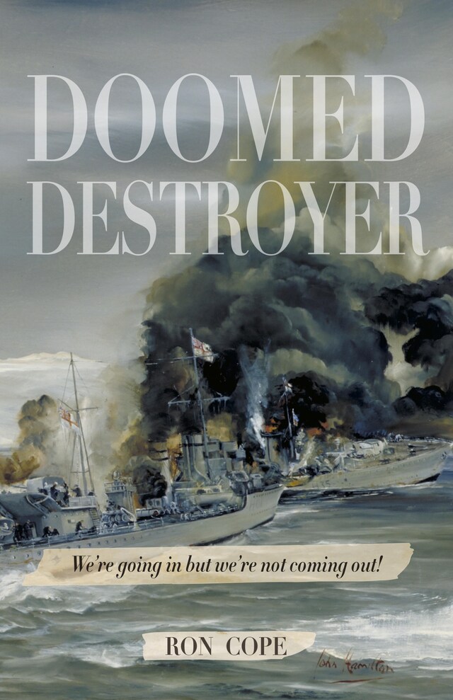 Buchcover für Doomed Destroyer